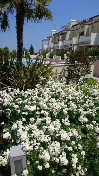 Residence Jesolo Lido Centro Con Piscina מראה חיצוני תמונה